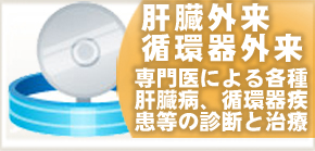 肝臓外来・循環器外来、専門医による各種肝臓病、循環器疾患等の診断と治療